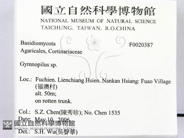 登錄號:F0020387藏品圖，第2張