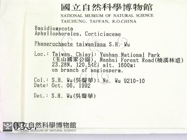 登錄號:F0000387藏品圖，第2張