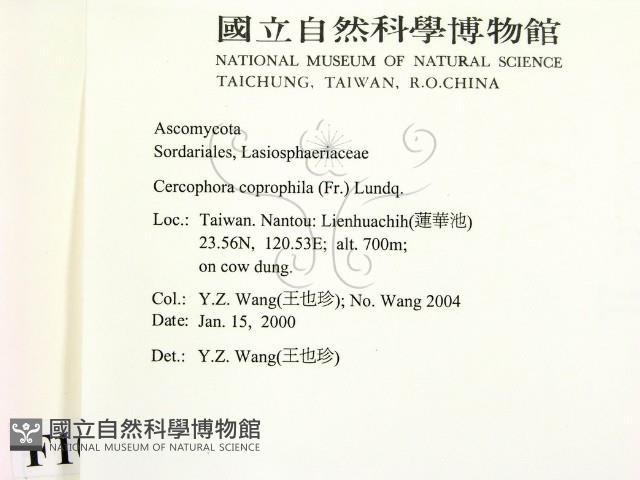 登錄號:F0010387藏品圖，第2張