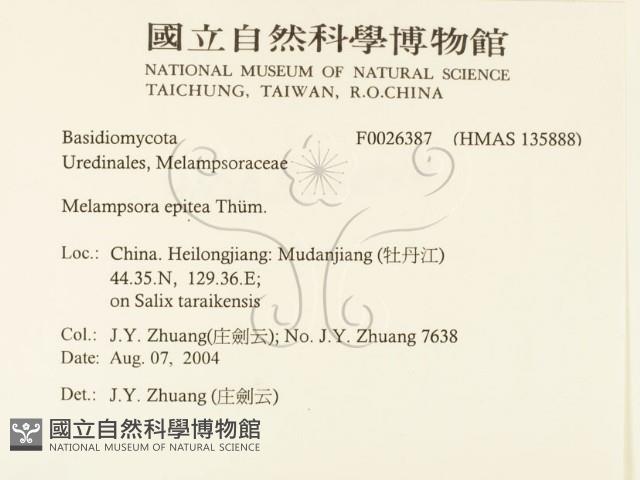 登錄號:F0026387藏品圖，第2張