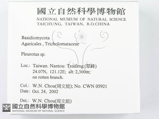 登錄號:F0016387藏品圖，第2張