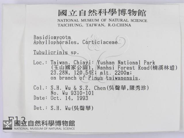 登錄號:F0001387藏品圖，第2張