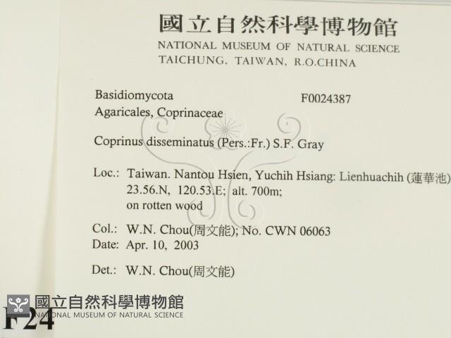 登錄號:F0024387藏品圖，第2張