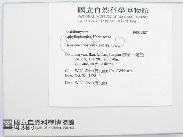 登錄號:F0004387藏品圖，第2張