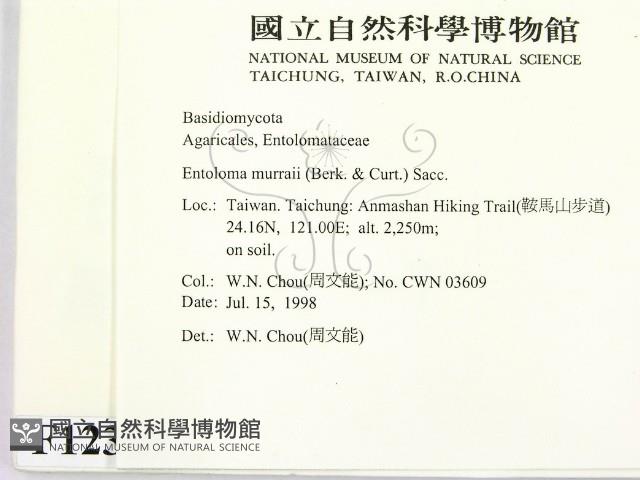 登錄號:F0012387藏品圖，第2張
