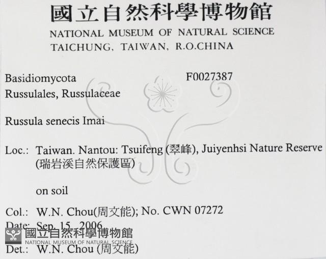 登錄號:F0027387藏品圖，第2張