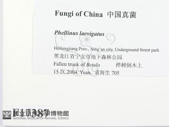 登錄號:F0017387藏品圖，第2張