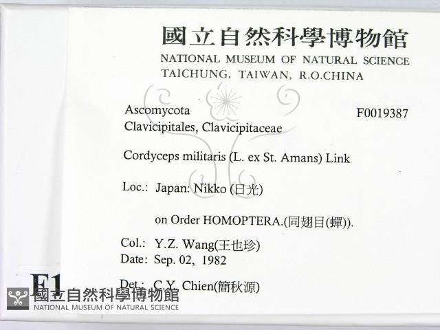 登錄號:F0019387藏品圖，第2張