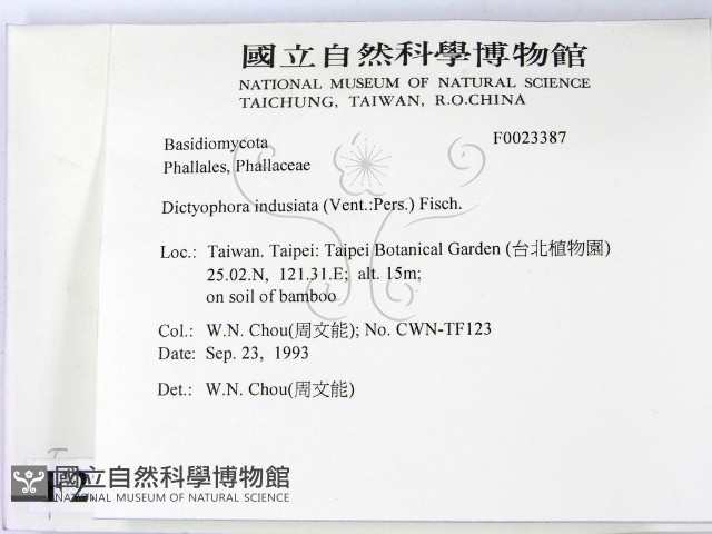 登錄號:F0023387藏品圖，第2張