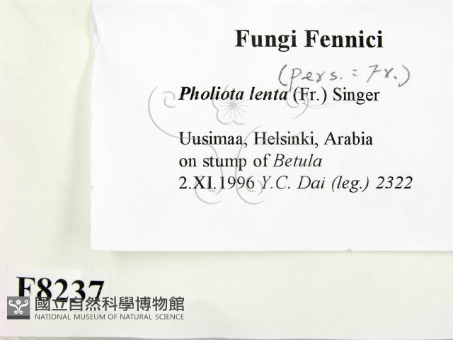 登錄號:F0008237藏品圖，第2張