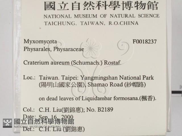 登錄號:F0018237藏品圖，第2張