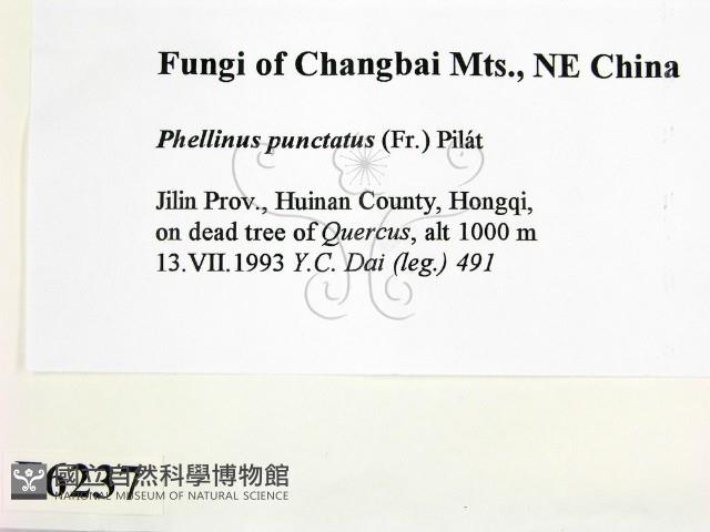 登錄號:F0006237藏品圖，第2張