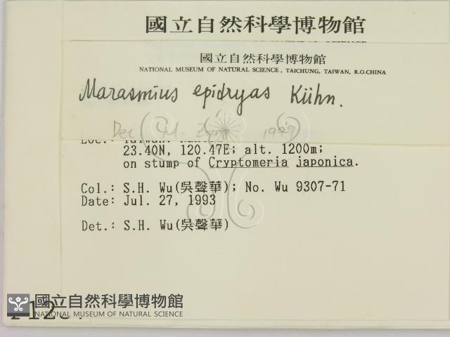 登錄號:F0001237藏品圖，第2張