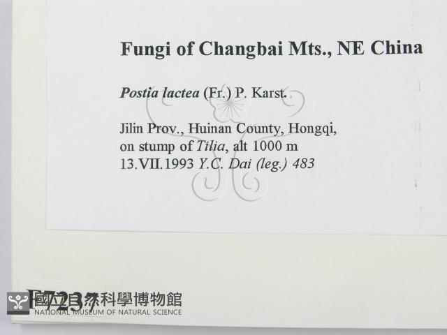 登錄號:F0007237藏品圖，第2張