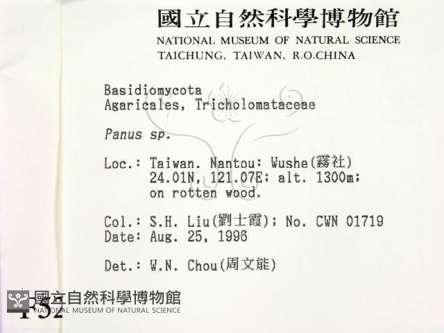 登錄號:F0005237藏品圖，第2張