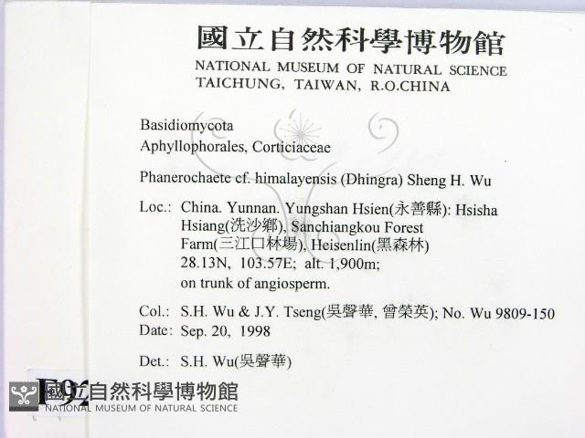 登錄號:F0009237藏品圖，第2張