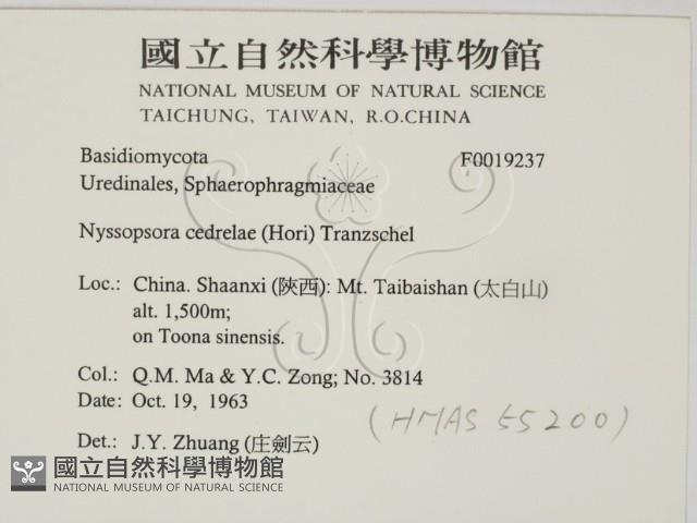 登錄號:F0019237藏品圖，第2張