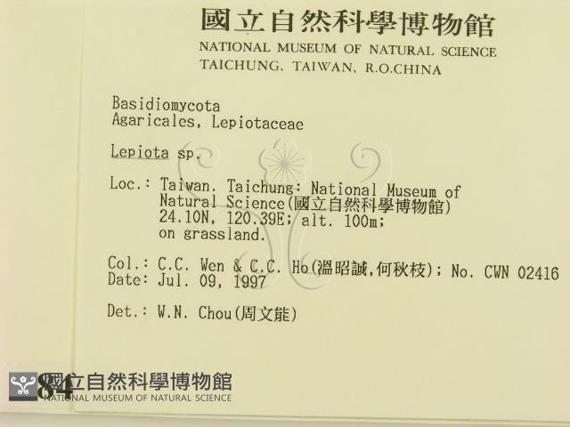 登錄號:F0008437藏品圖，第2張