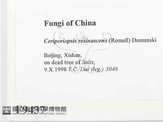 登錄號:F0009437藏品圖，第2張