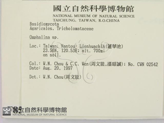 登錄號:F0008537藏品圖，第2張