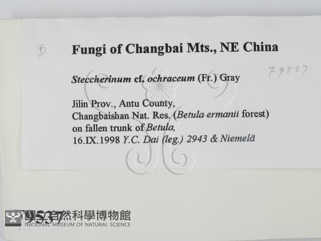 登錄號:F0009537藏品圖，第2張