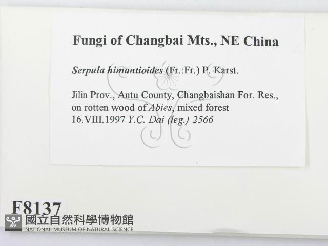 登錄號:F0008137藏品圖，第2張