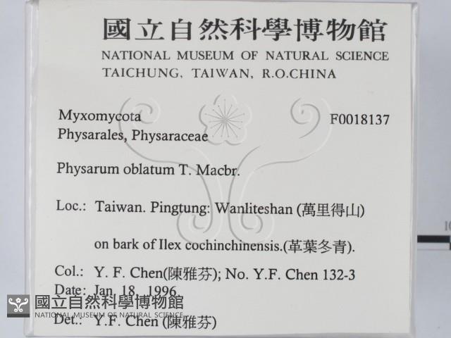 登錄號:F0018137藏品圖，第2張