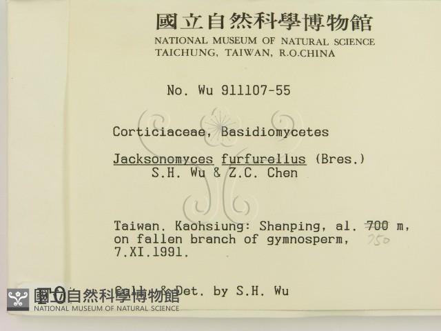 登錄號:F0000137藏品圖，第2張