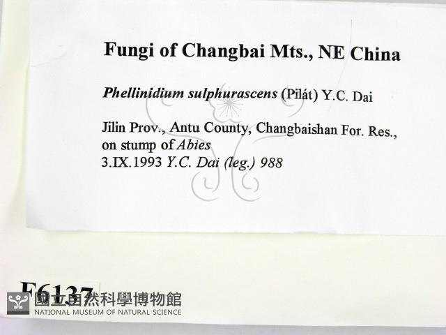 登錄號:F0006137藏品圖，第2張