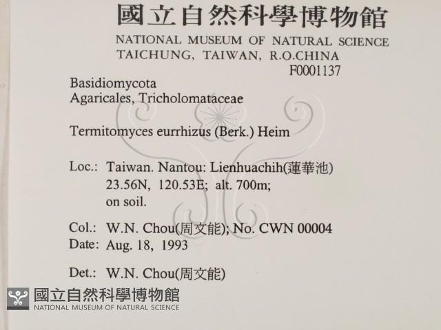 登錄號:F0001137藏品圖，第2張
