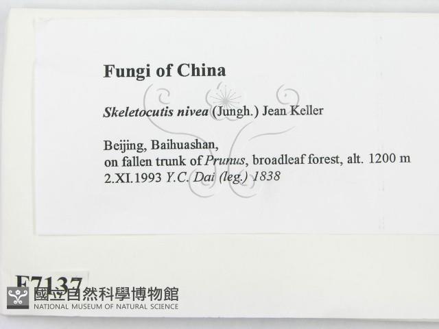 登錄號:F0007137藏品圖，第2張