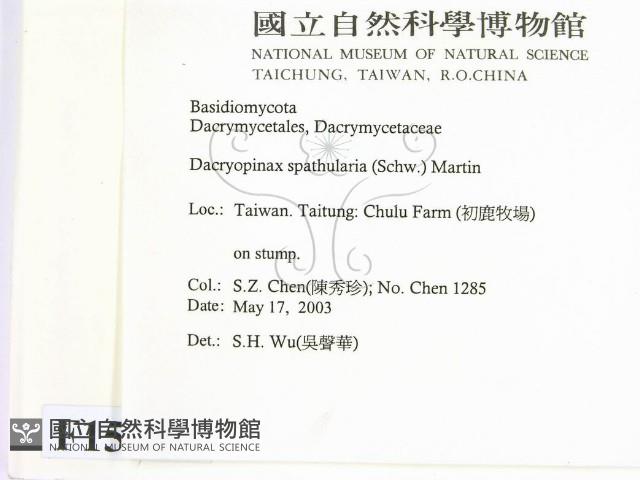 登錄號:F0015137藏品圖，第2張