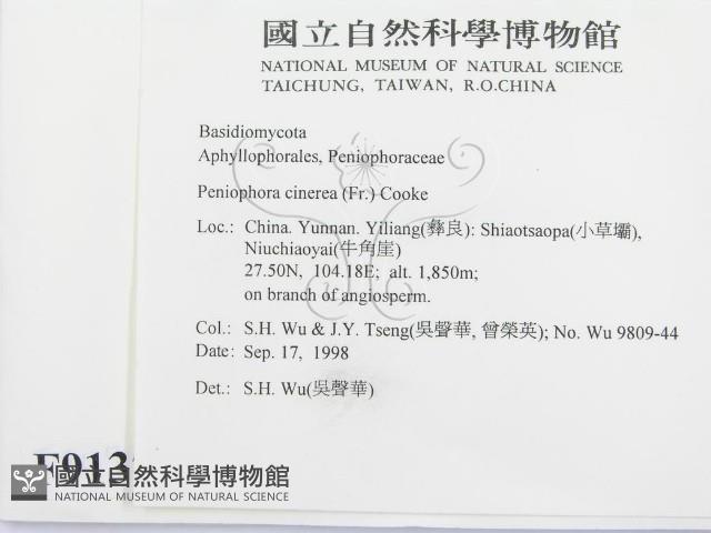 登錄號:F0009137藏品圖，第2張