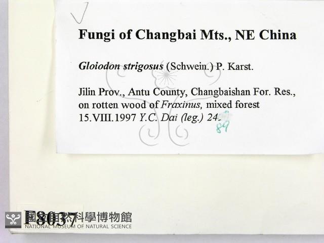 登錄號:F0008037藏品圖，第2張