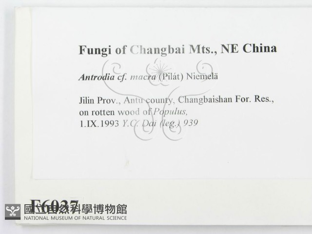 登錄號:F0006037藏品圖，第2張