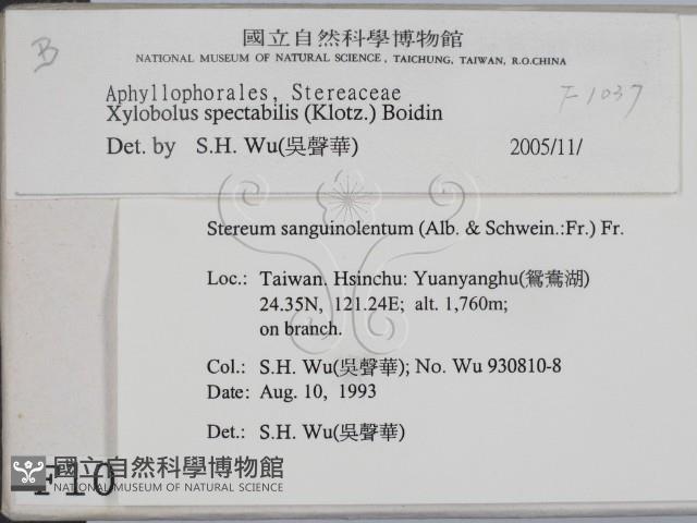 登錄號:F0001037藏品圖，第2張