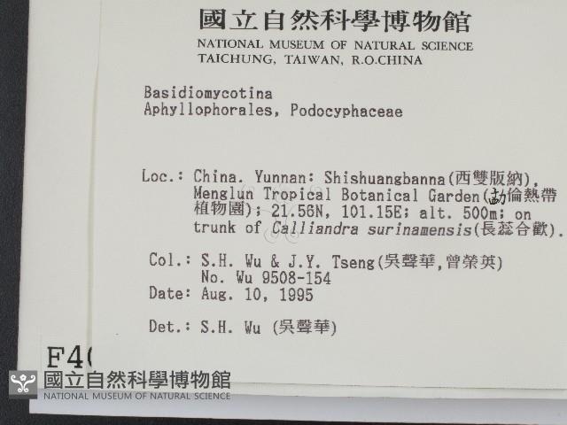 登錄號:F0004037藏品圖，第2張