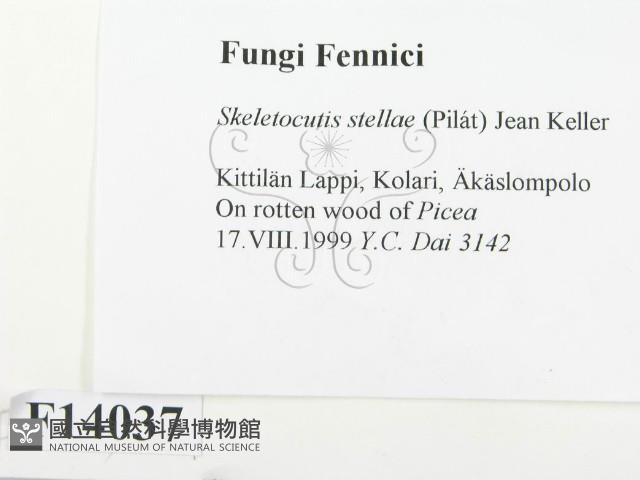 登錄號:F0014037藏品圖，第2張