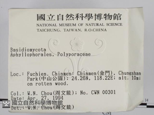 登錄號:F0002037藏品圖，第2張