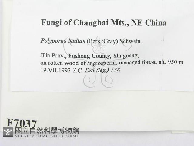 登錄號:F0007037藏品圖，第2張