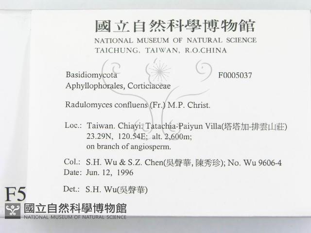 登錄號:F0005037藏品圖，第2張