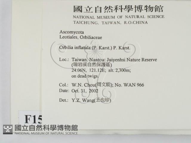 登錄號:F0015037藏品圖，第2張