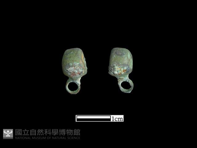 鈕子藏品圖，第2張