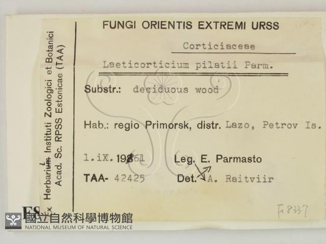 登錄號:F0008337藏品圖，第2張