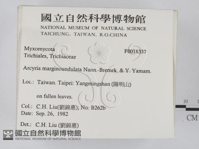 登錄號:F0018337藏品圖，第2張