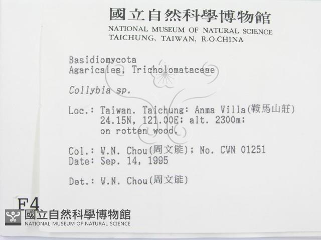 登錄號:F0004337藏品圖，第2張