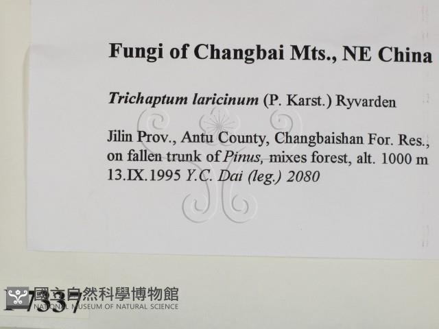 登錄號:F0007337藏品圖，第2張