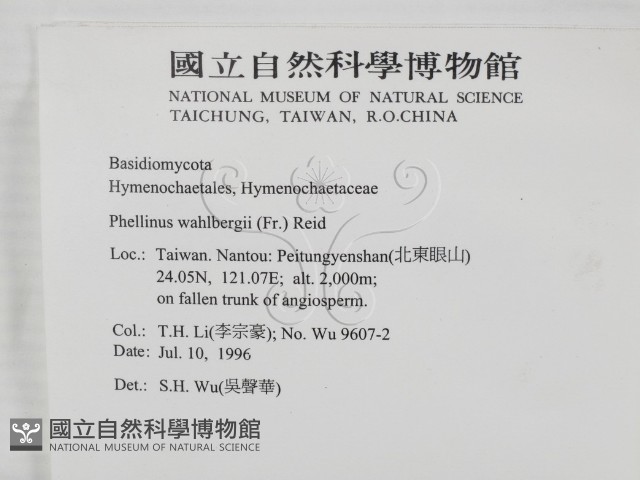 登錄號:F0005337藏品圖，第2張