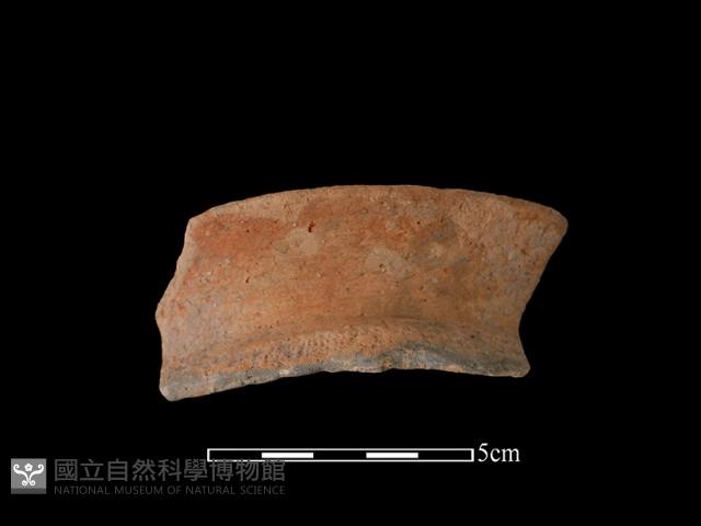 陶罐藏品圖，第1張