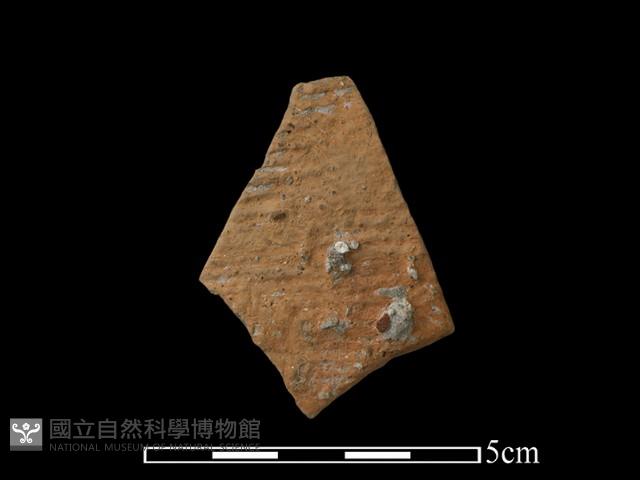 陶片藏品圖，第1張